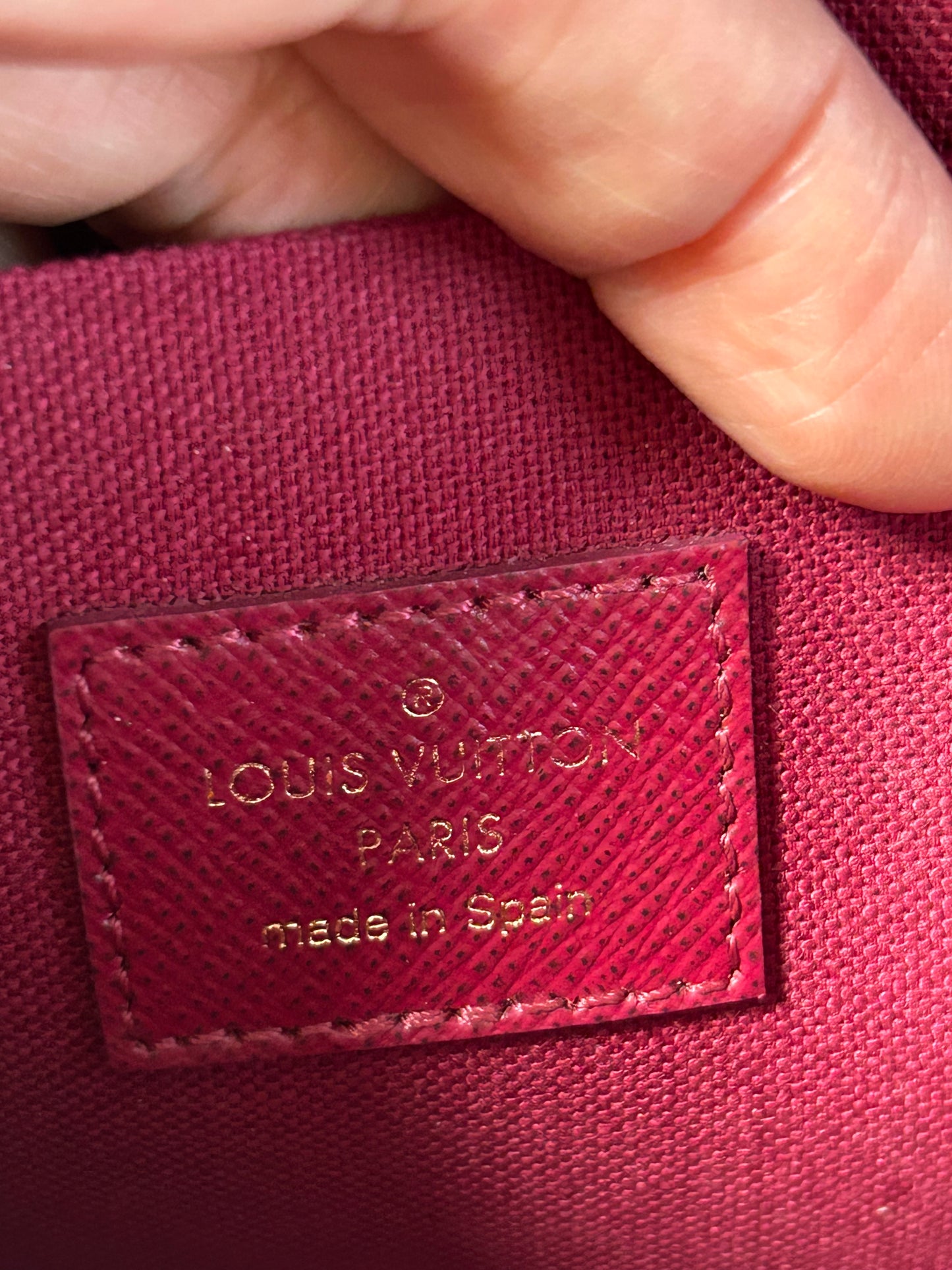 Louis Vuitton felicie pochette in monogram