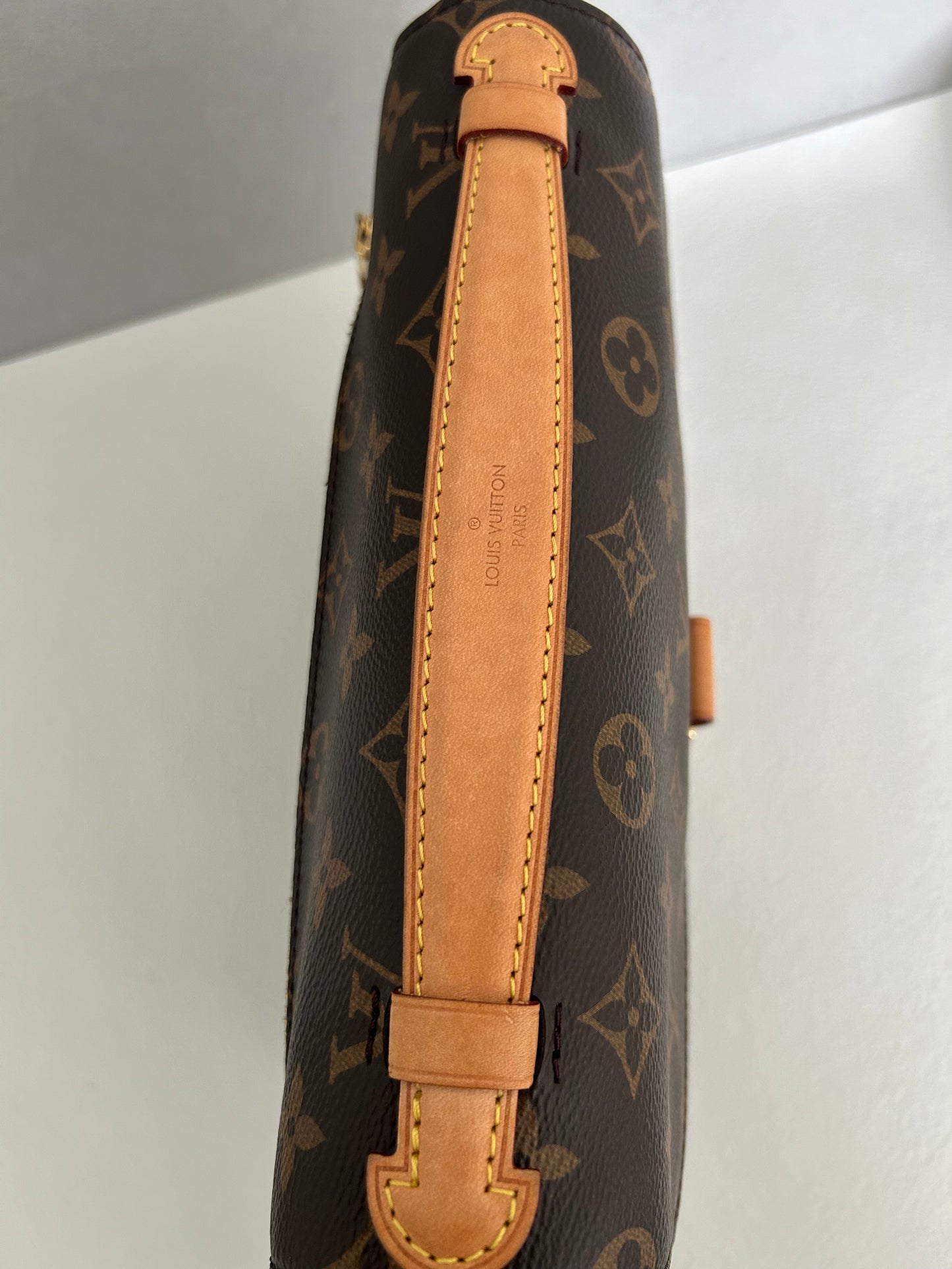 Louis Vuittion Pochette Metis Monogram