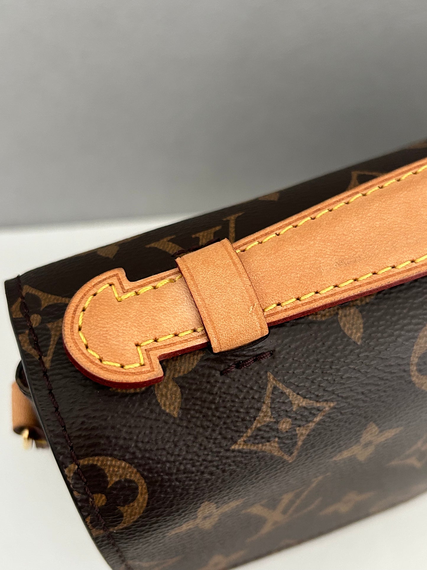 Louis Vuittion Pochette Metis Monogram