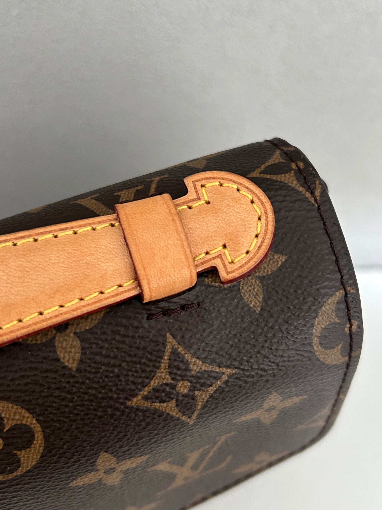 Louis Vuittion Pochette Metis Monogram