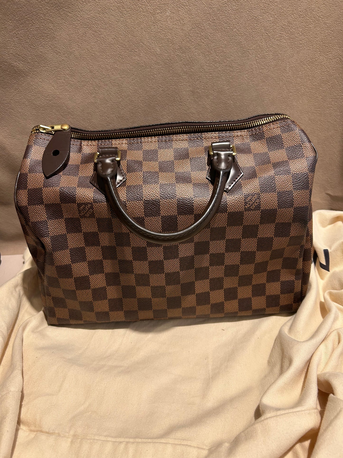 Louis Vuitton speedy 30 in Damier Ebene