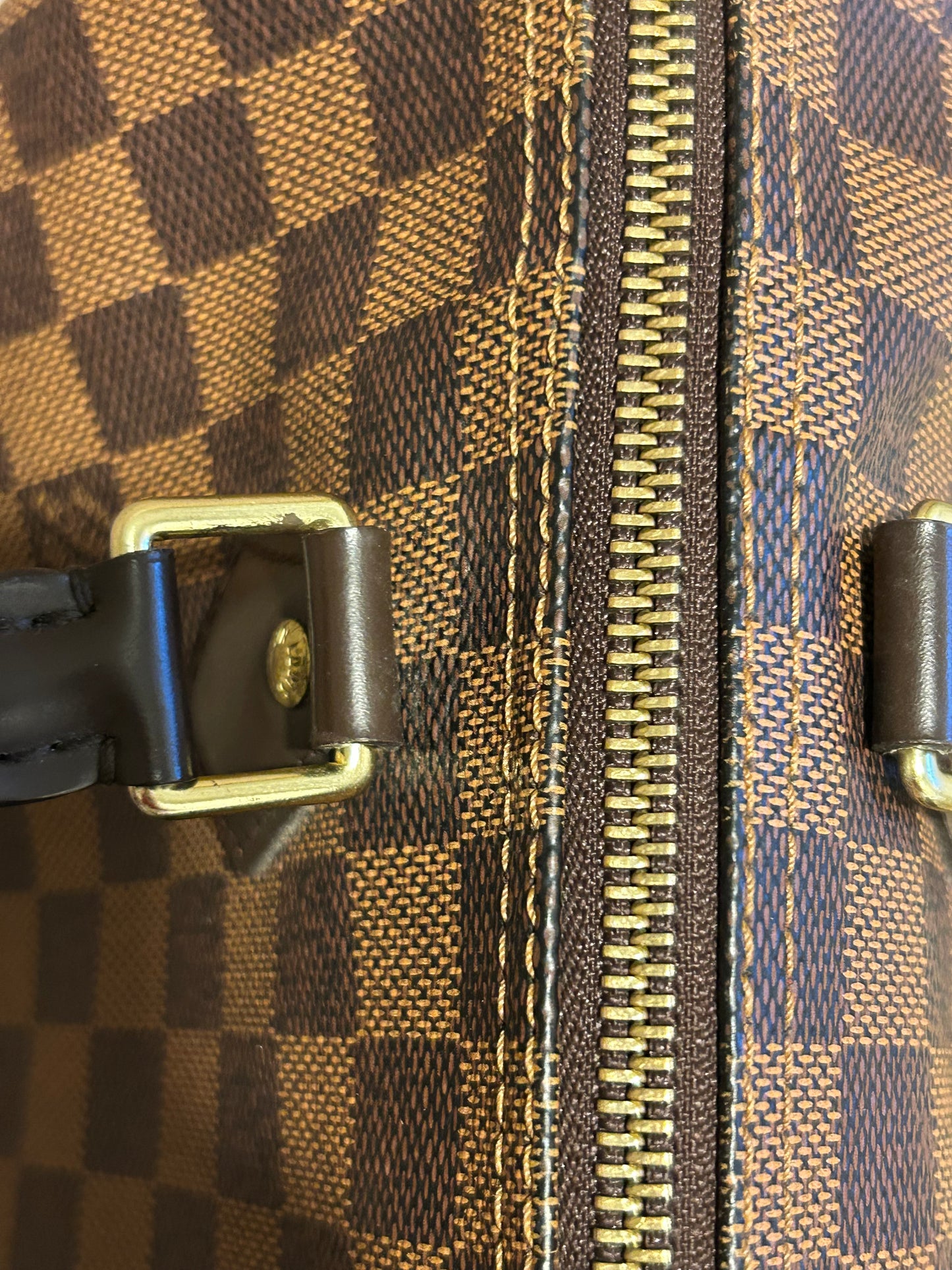 Louis Vuitton speedy 30 in Damier Ebene