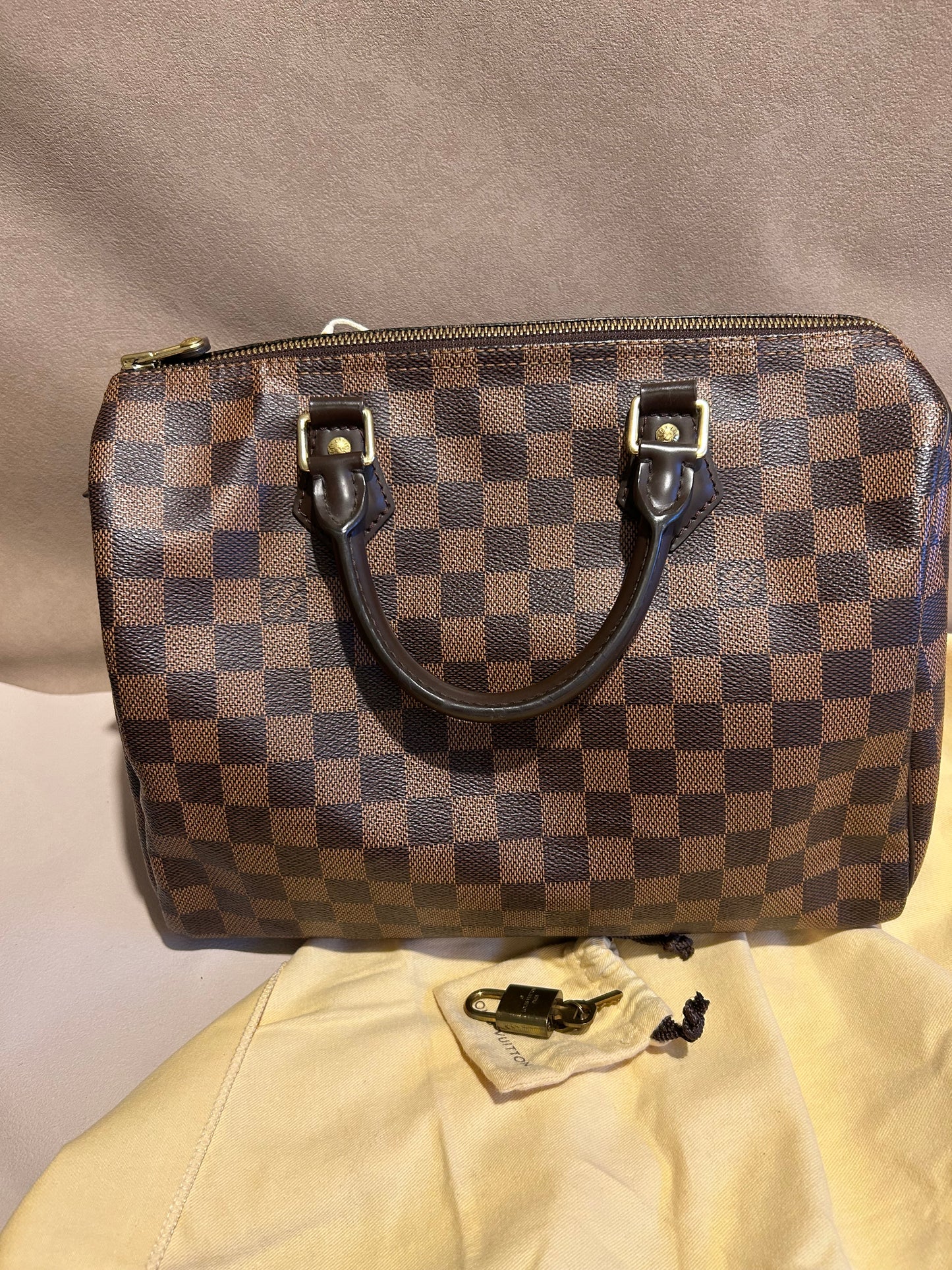 Louis Vuitton speedy 30 in Damier Ebene