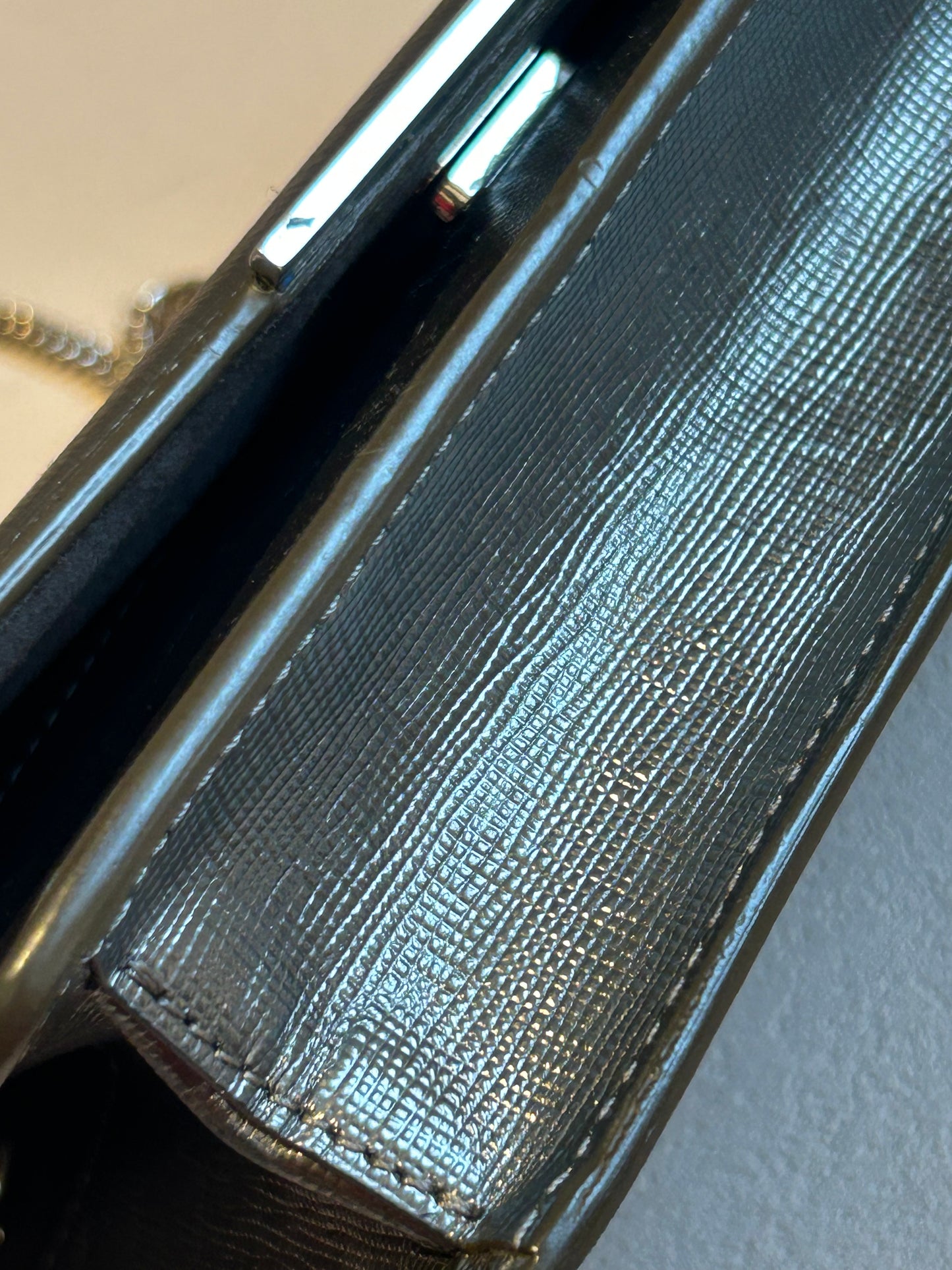 Fendi tube wallet on chain