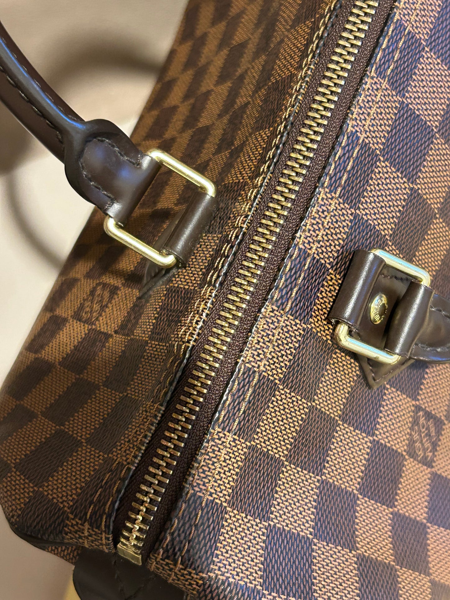 Louis Vuitton speedy 30 in Damier Ebene