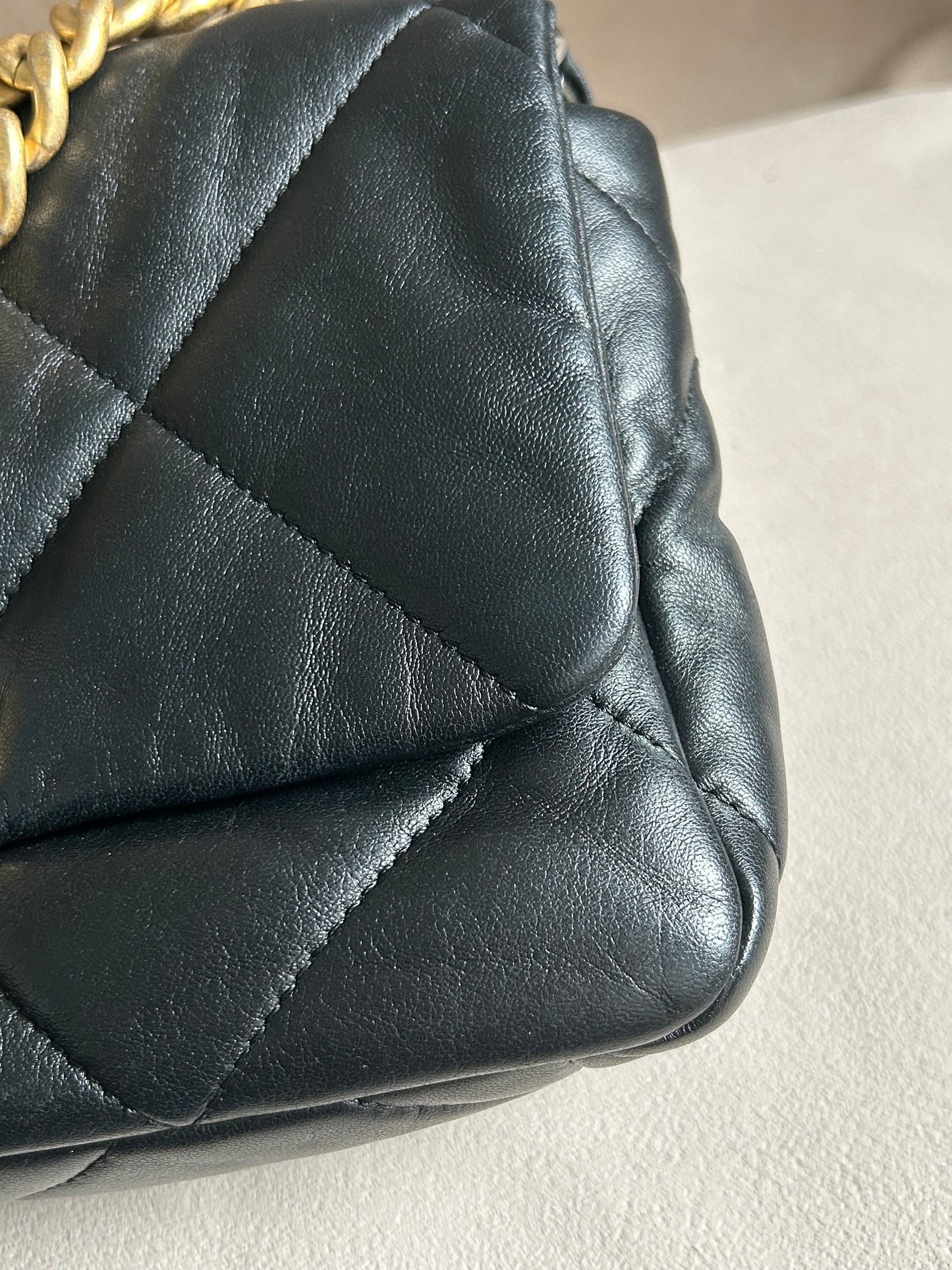 Chanel 19 bag small