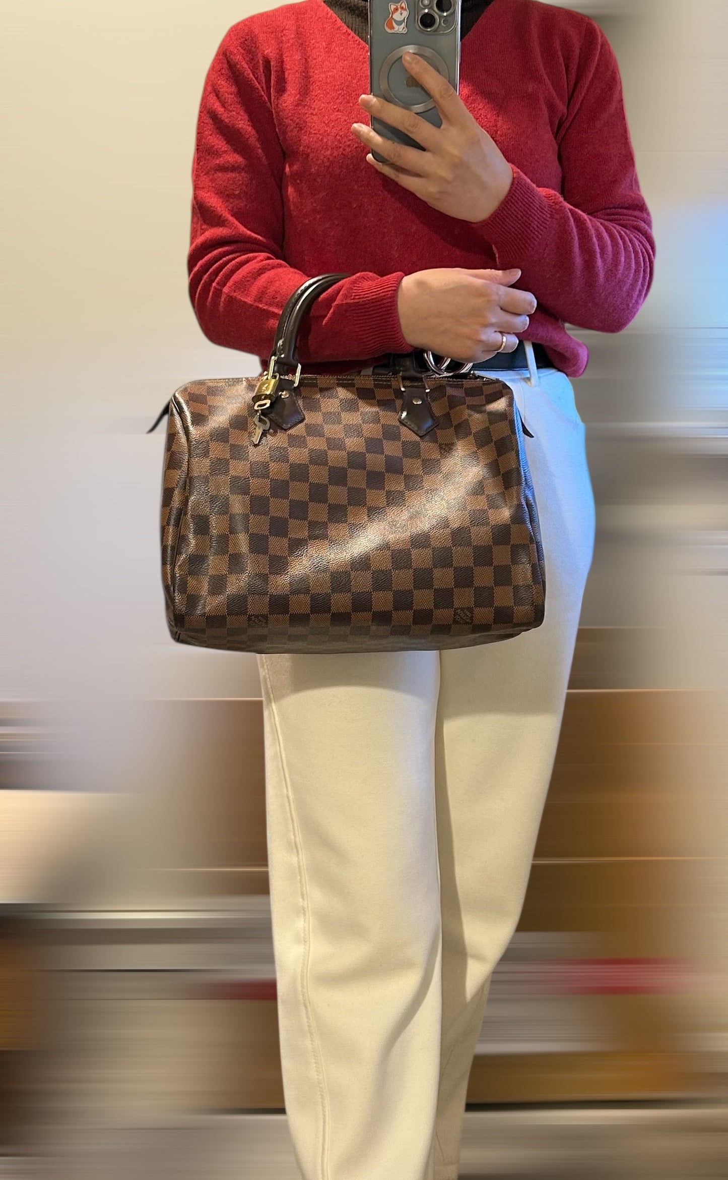 Louis Vuitton speedy 30 in Damier Ebene