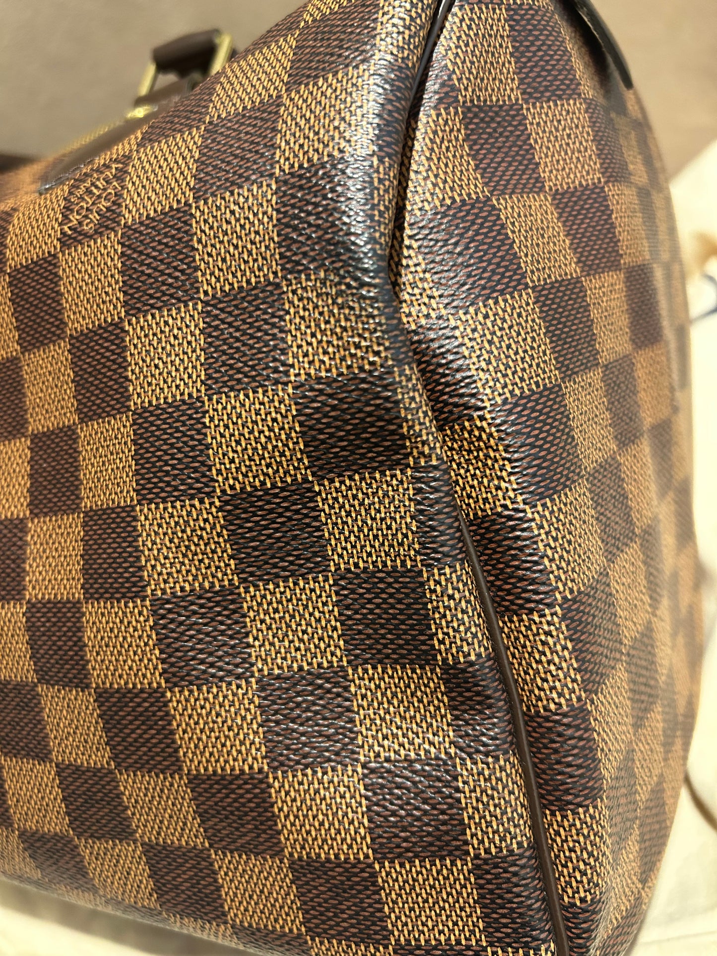 Louis Vuitton speedy 30 in Damier Ebene