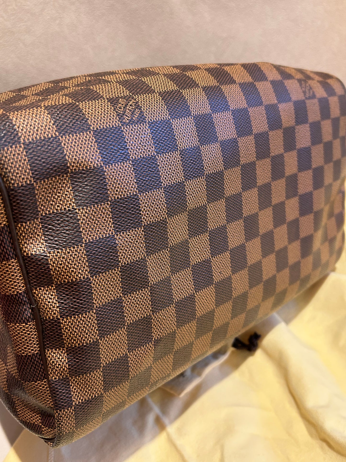 Louis Vuitton speedy 30 in Damier Ebene