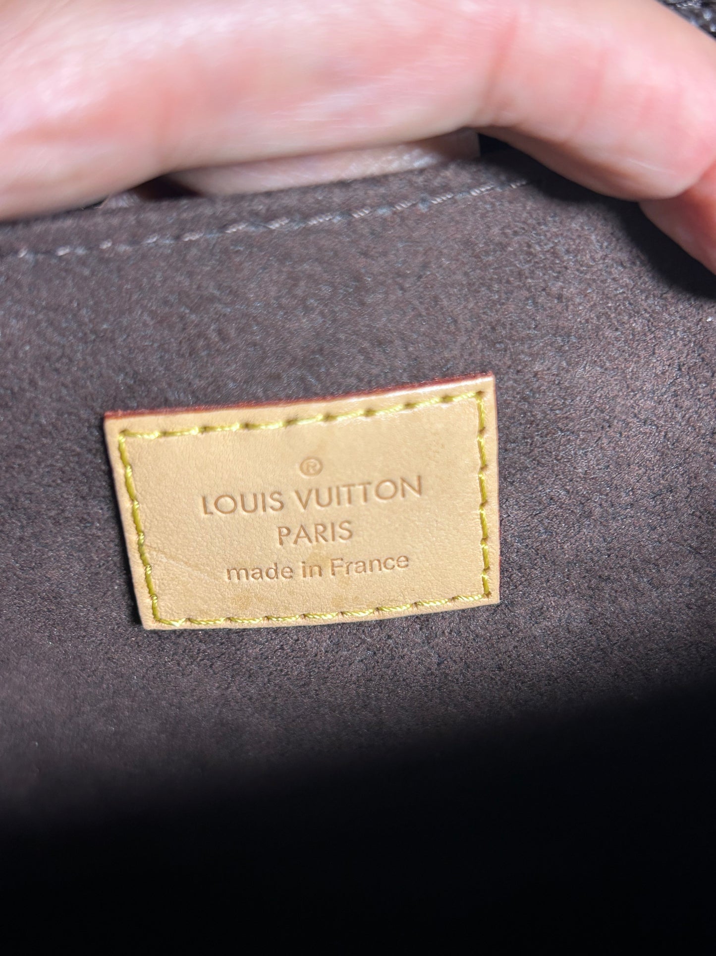 Louis Vuitton monogram pochette Metis