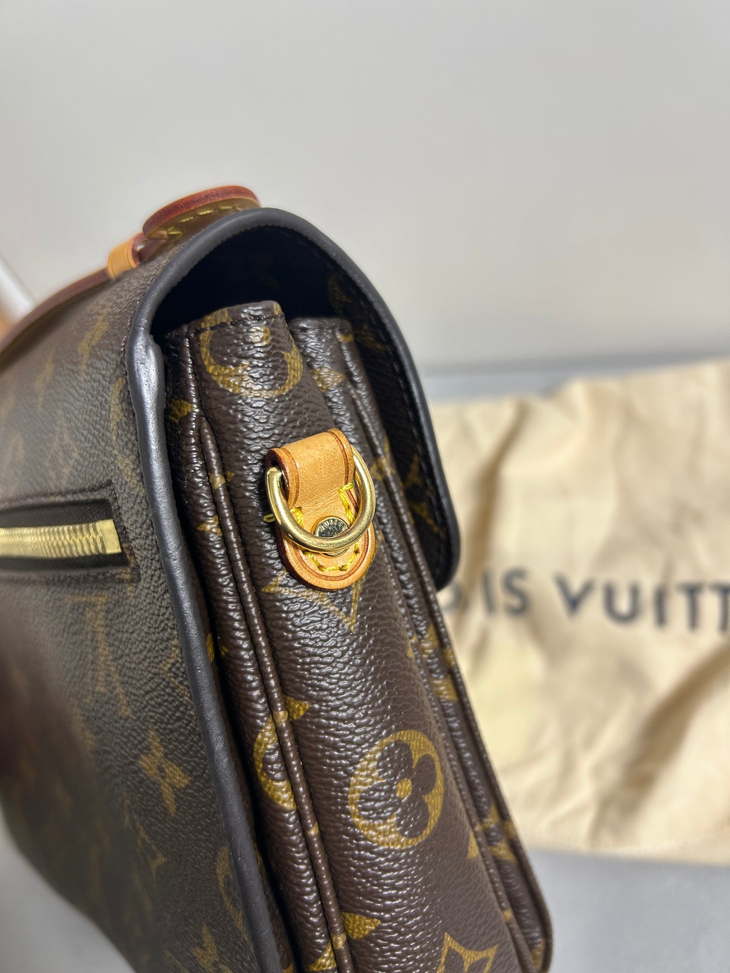 Louis Vuitton monogram pochette Metis