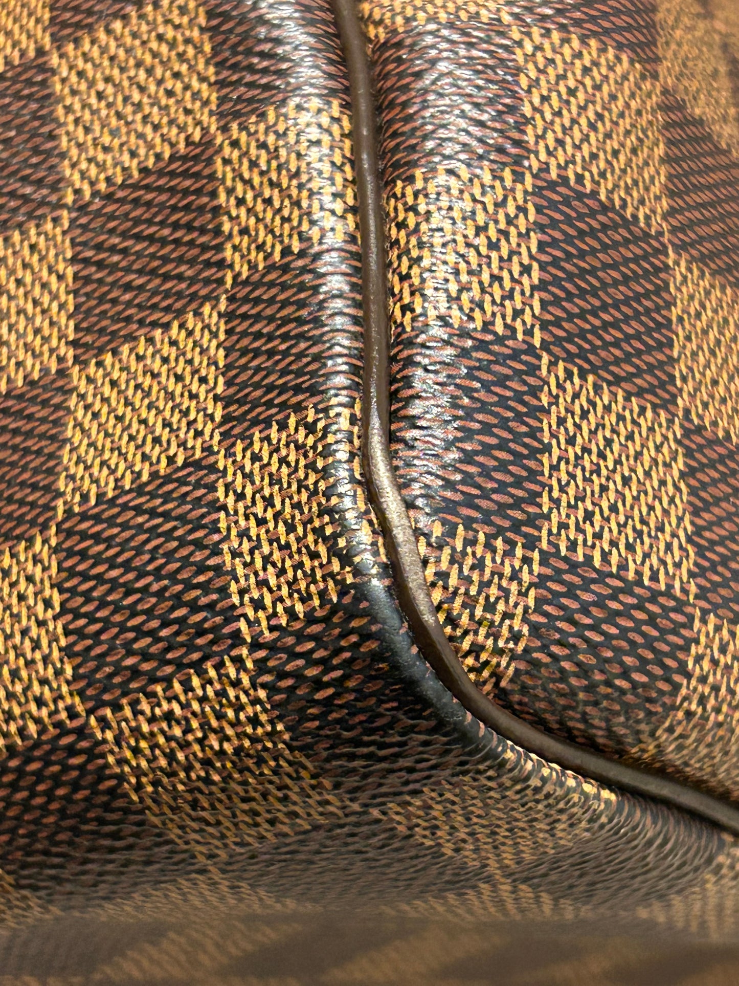 Louis Vuitton speedy 30 in Damier Ebene