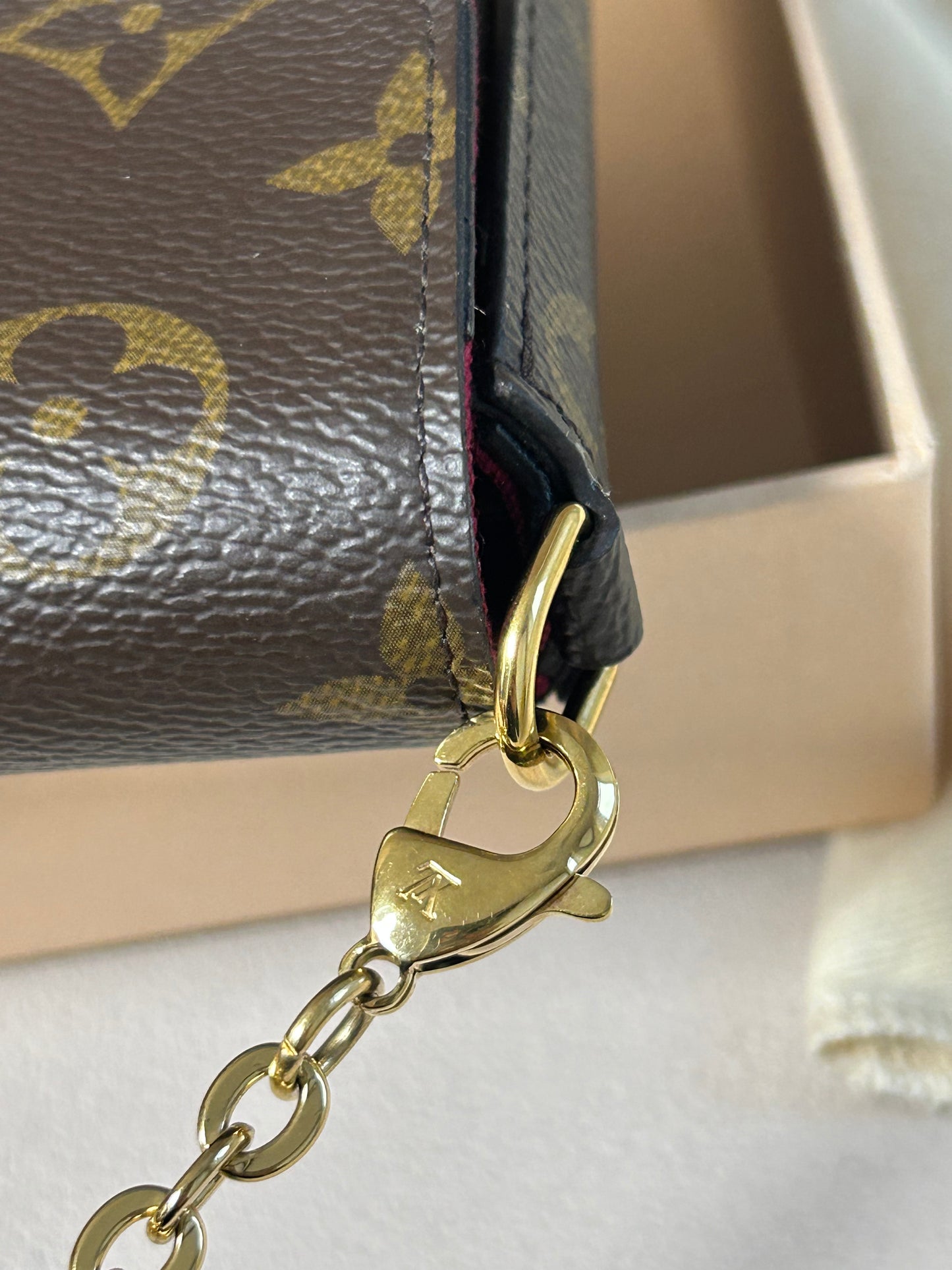 Louis Vuitton felicie pochette in monogram