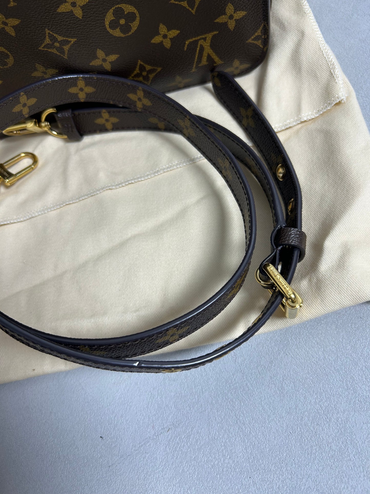Louis Vuitton pochette Metis in monogram