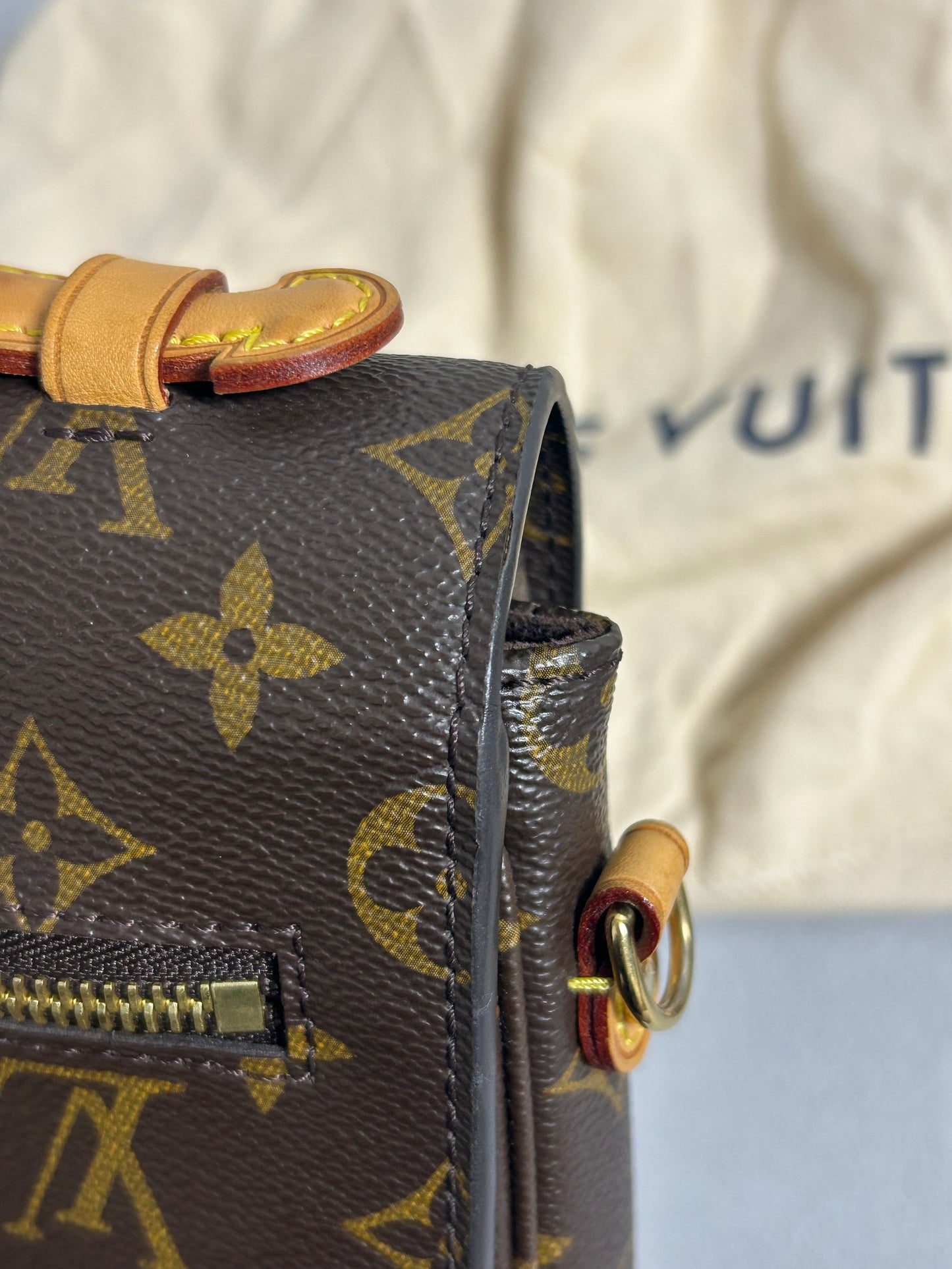 Louis Vuitton monogram pochette Metis