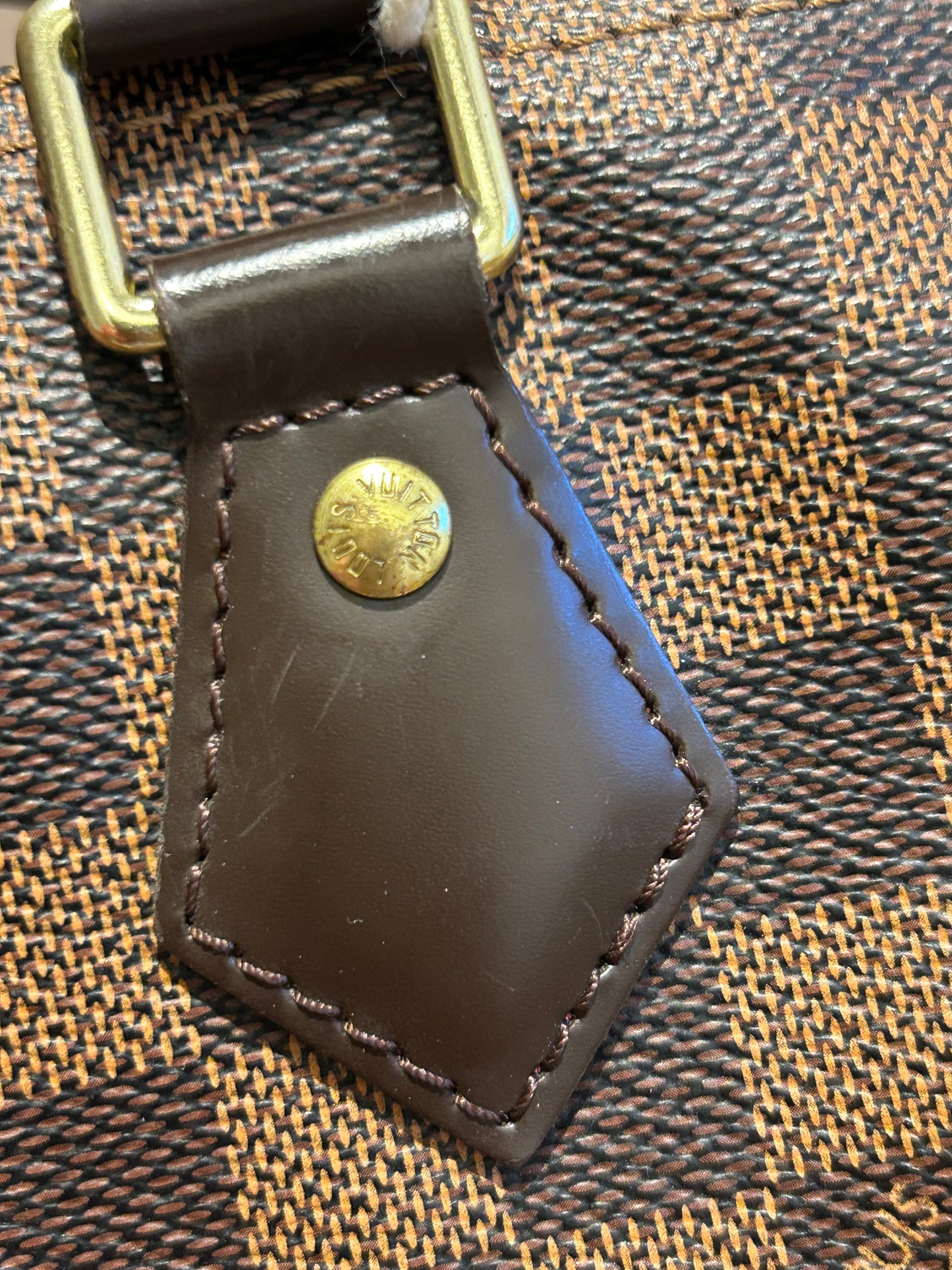 Louis Vuitton speedy 30 in Damier Ebene