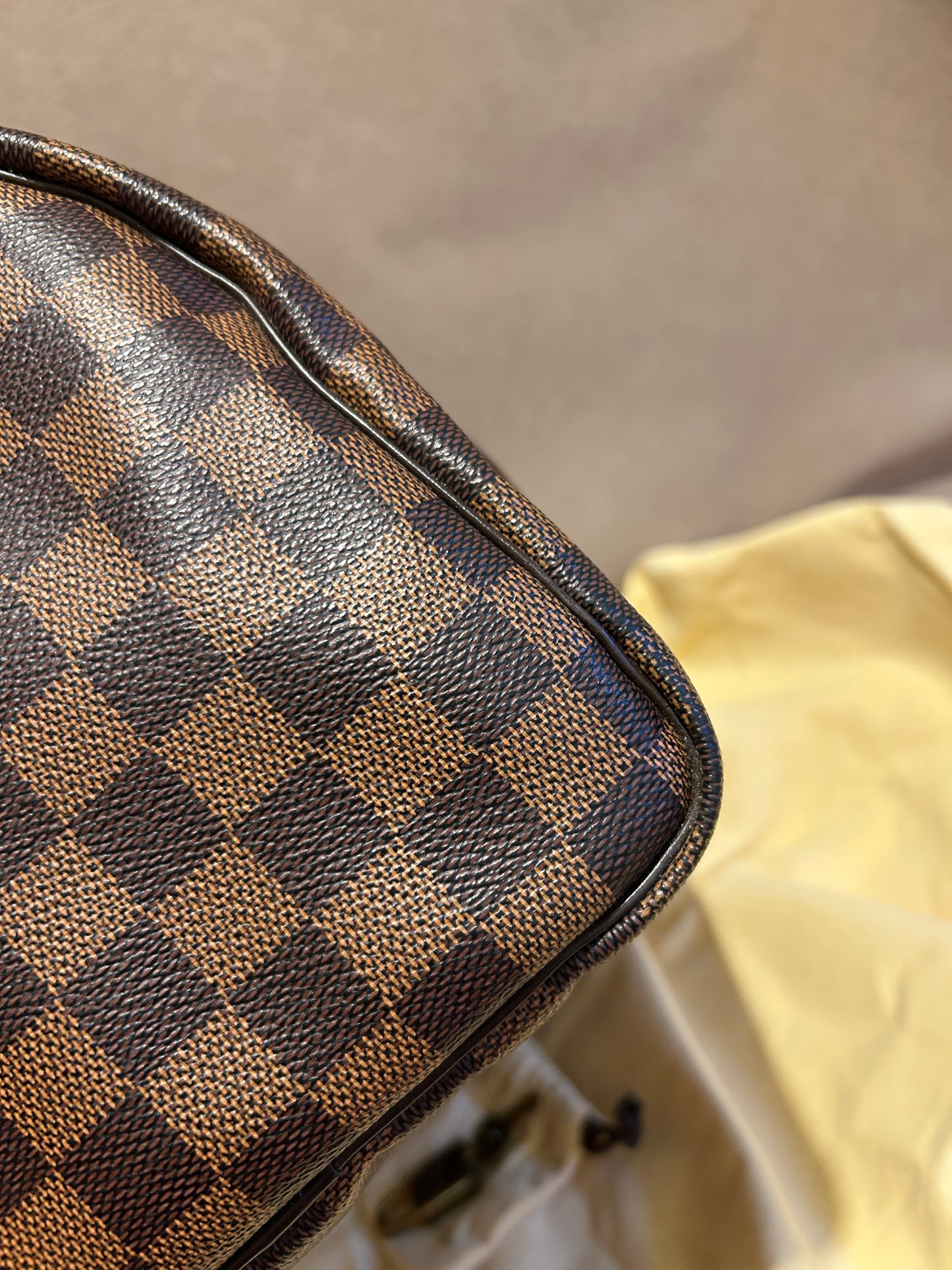 Louis Vuitton speedy 30 in Damier Ebene
