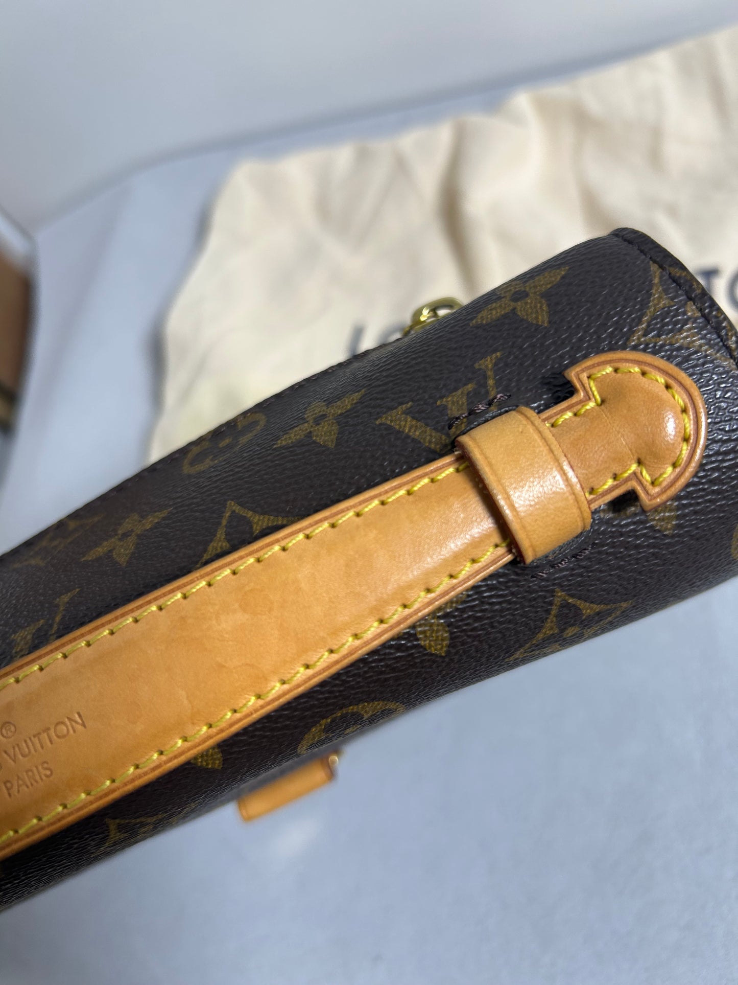Louis Vuitton monogram pochette Metis