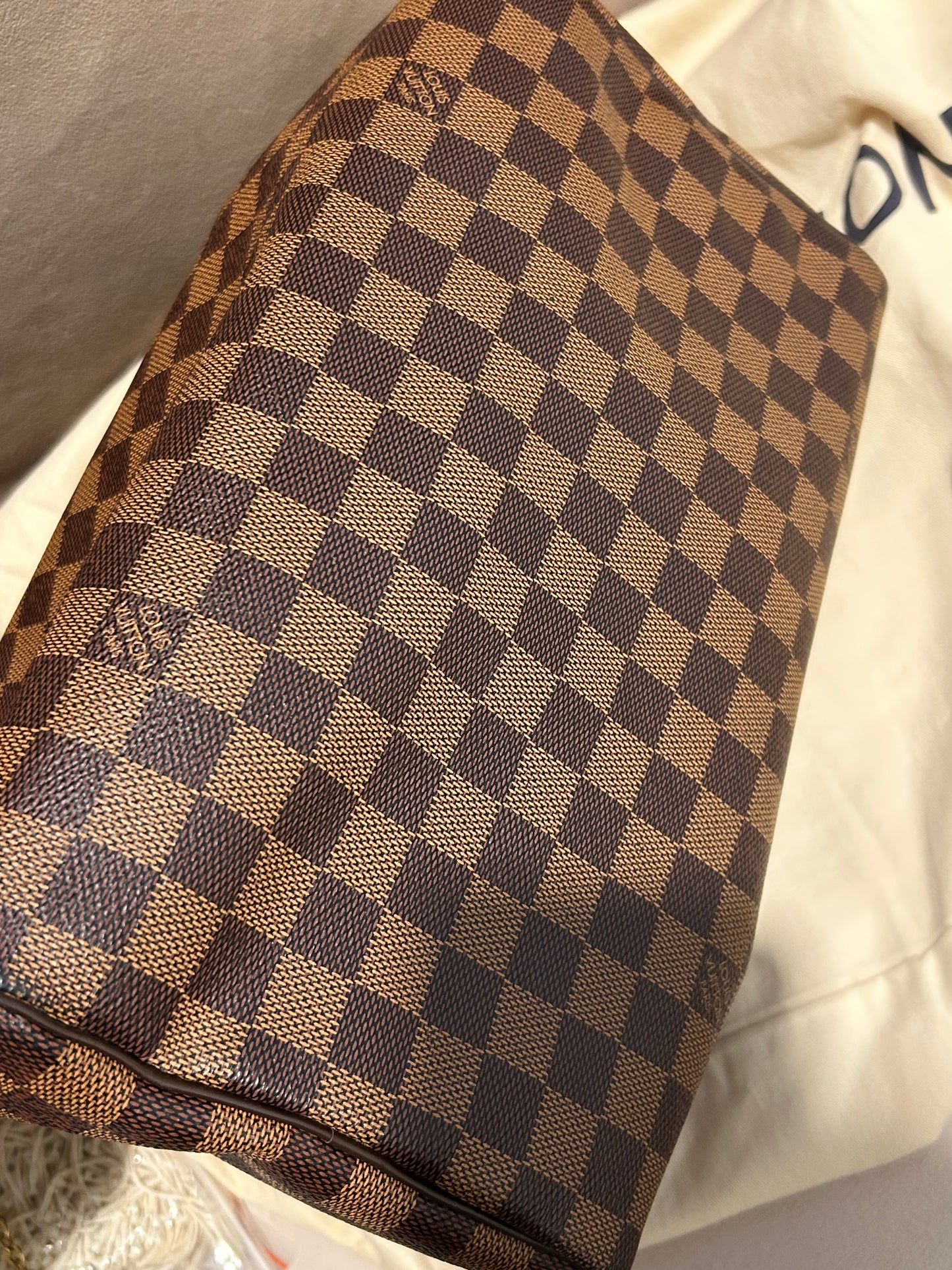 Louis Vuitton speedy 30 in Damier Ebene