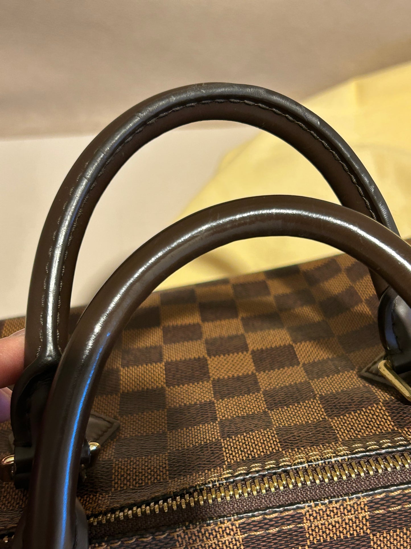 Louis Vuitton speedy 30 in Damier Ebene