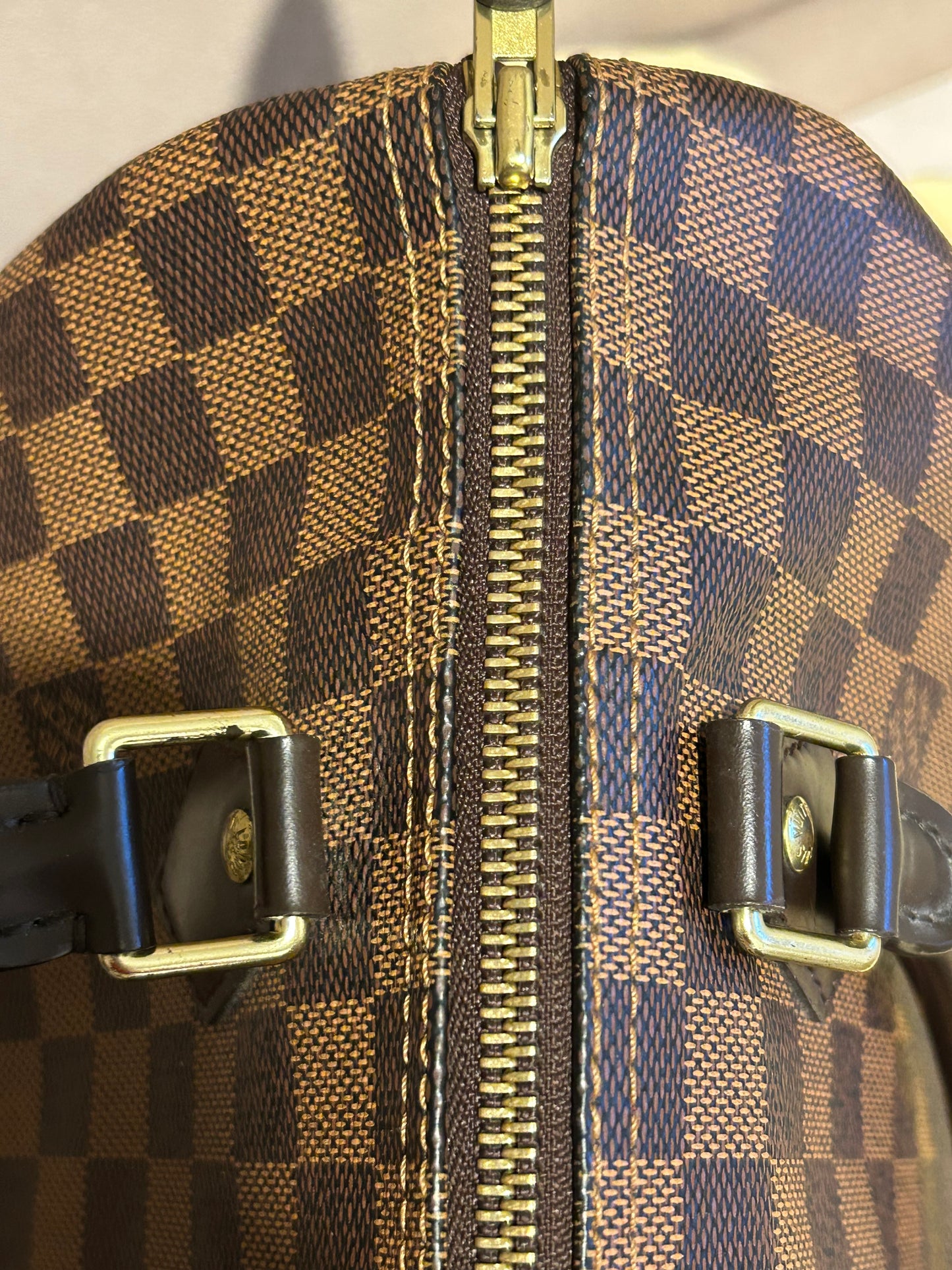 Louis Vuitton speedy 30 in Damier Ebene