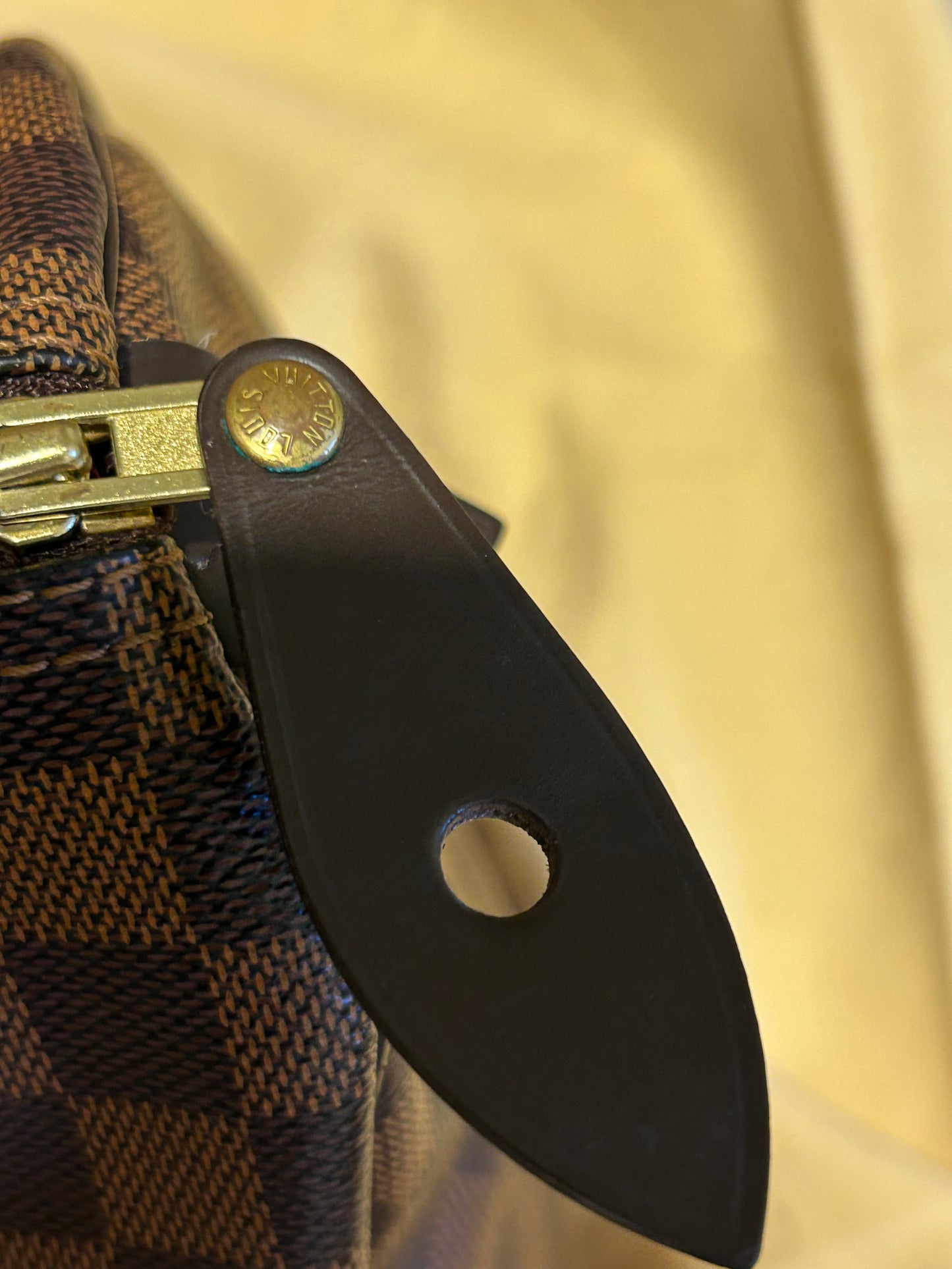 Louis Vuitton speedy 30 in Damier Ebene