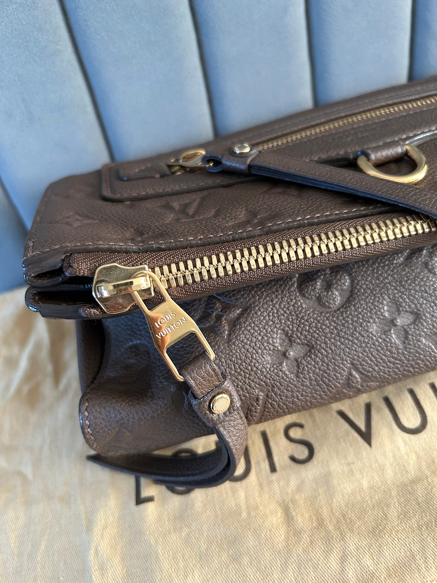 Louis Vuitton Petillante Leather Clutch Bag