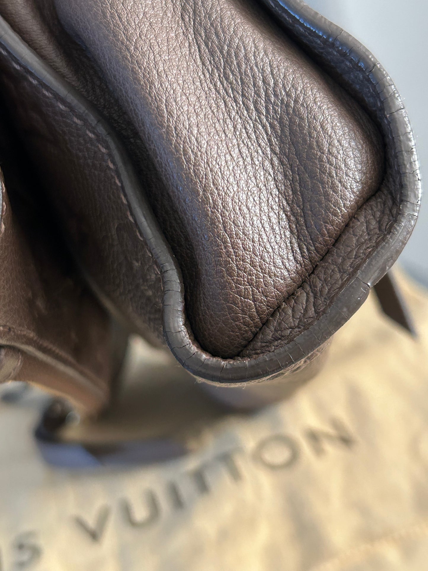 Louis Vuitton Petillante Leather Clutch Bag