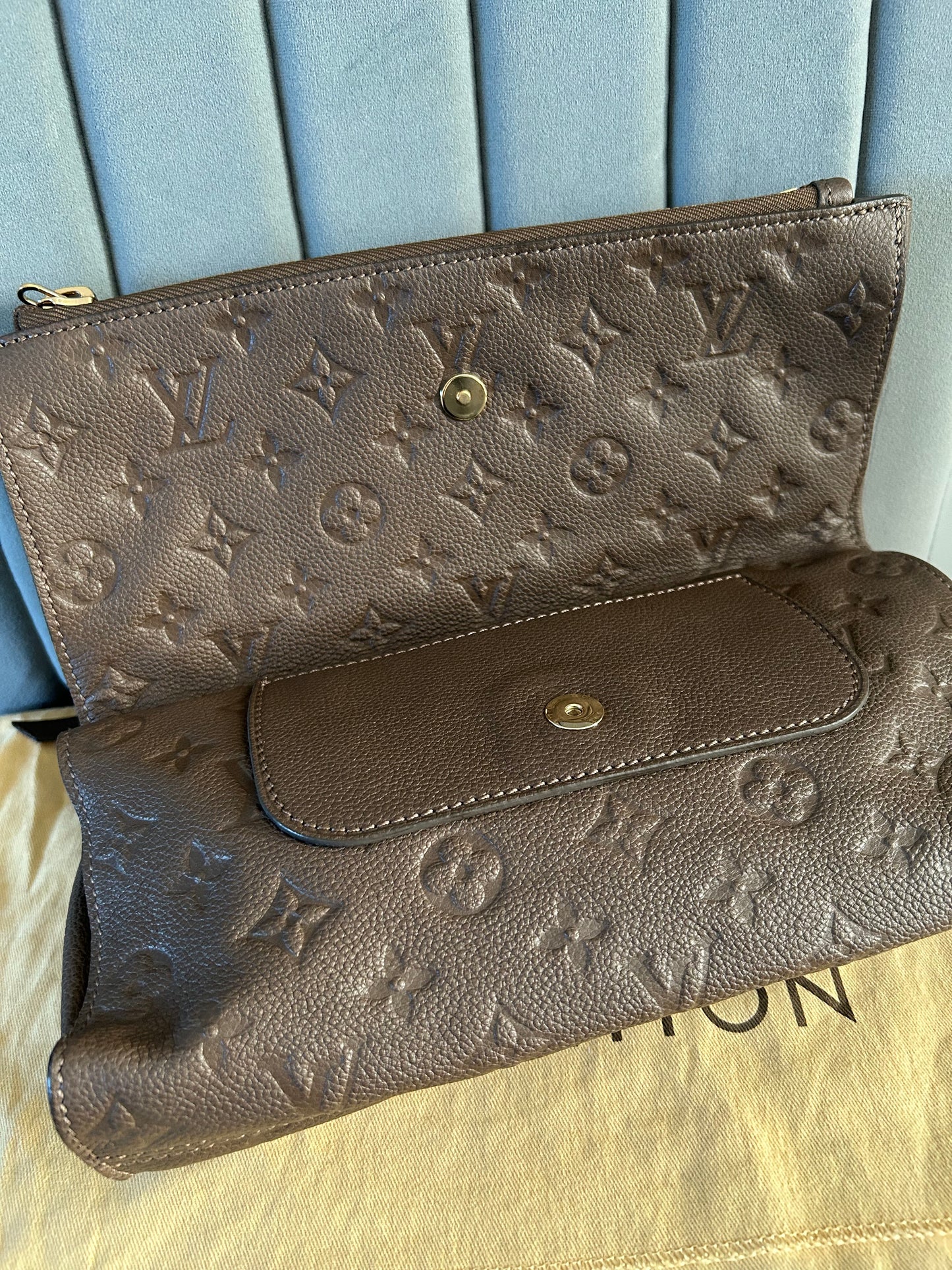 Louis Vuitton Petillante Leather Clutch Bag