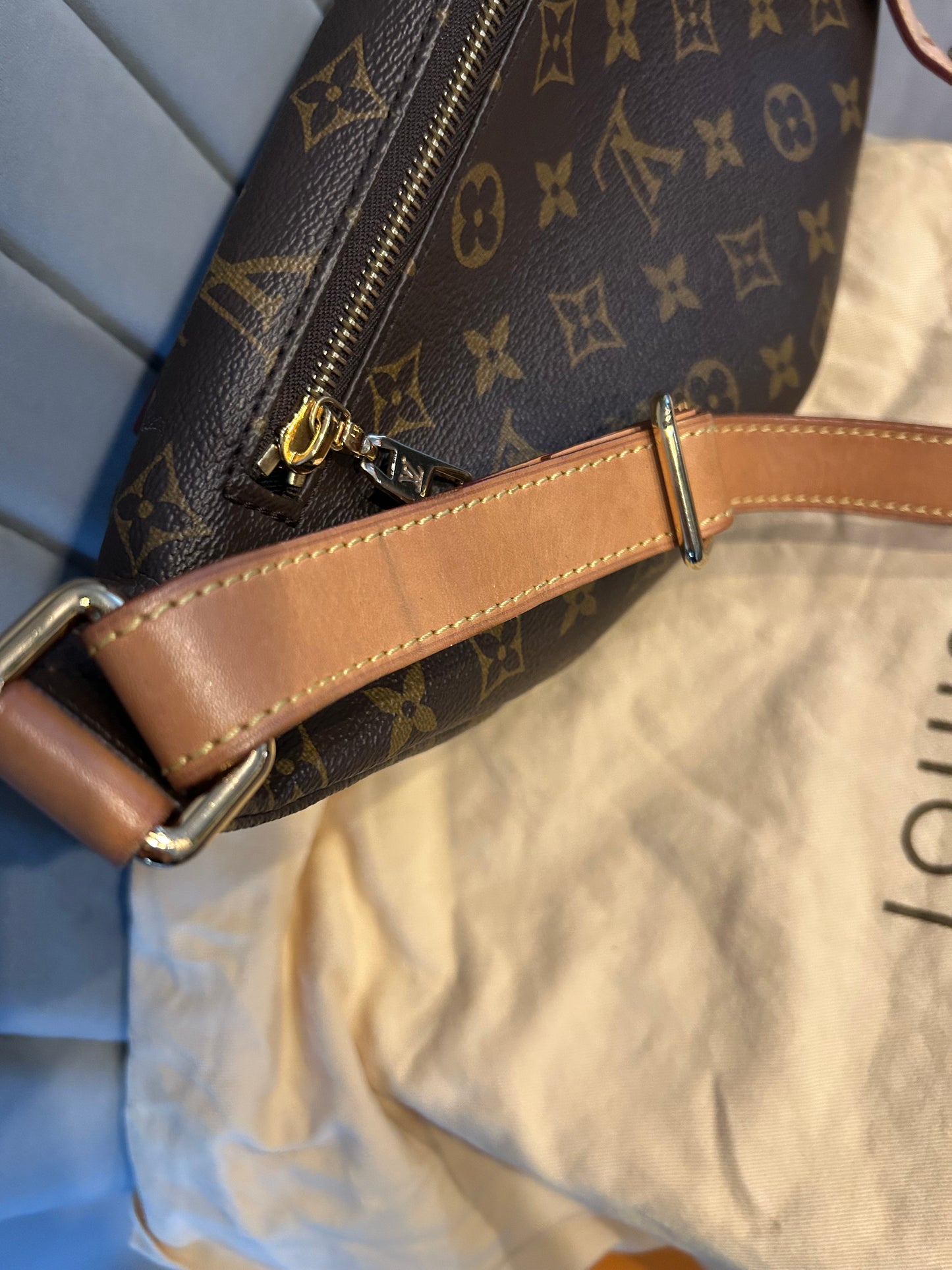 Louis Vuitton Bumbag in Monogram Canvas