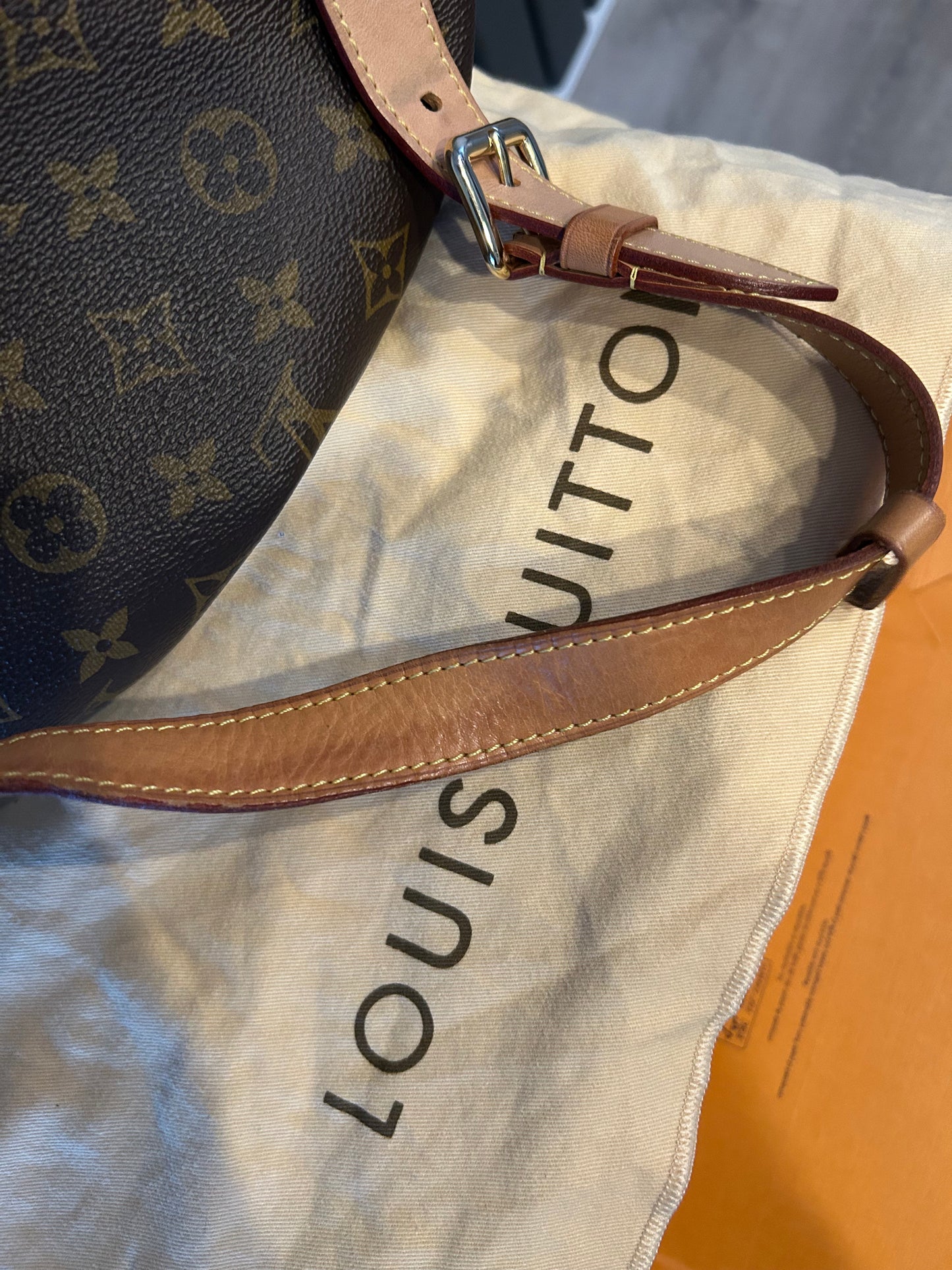 Louis Vuitton Bumbag in Monogram Canvas