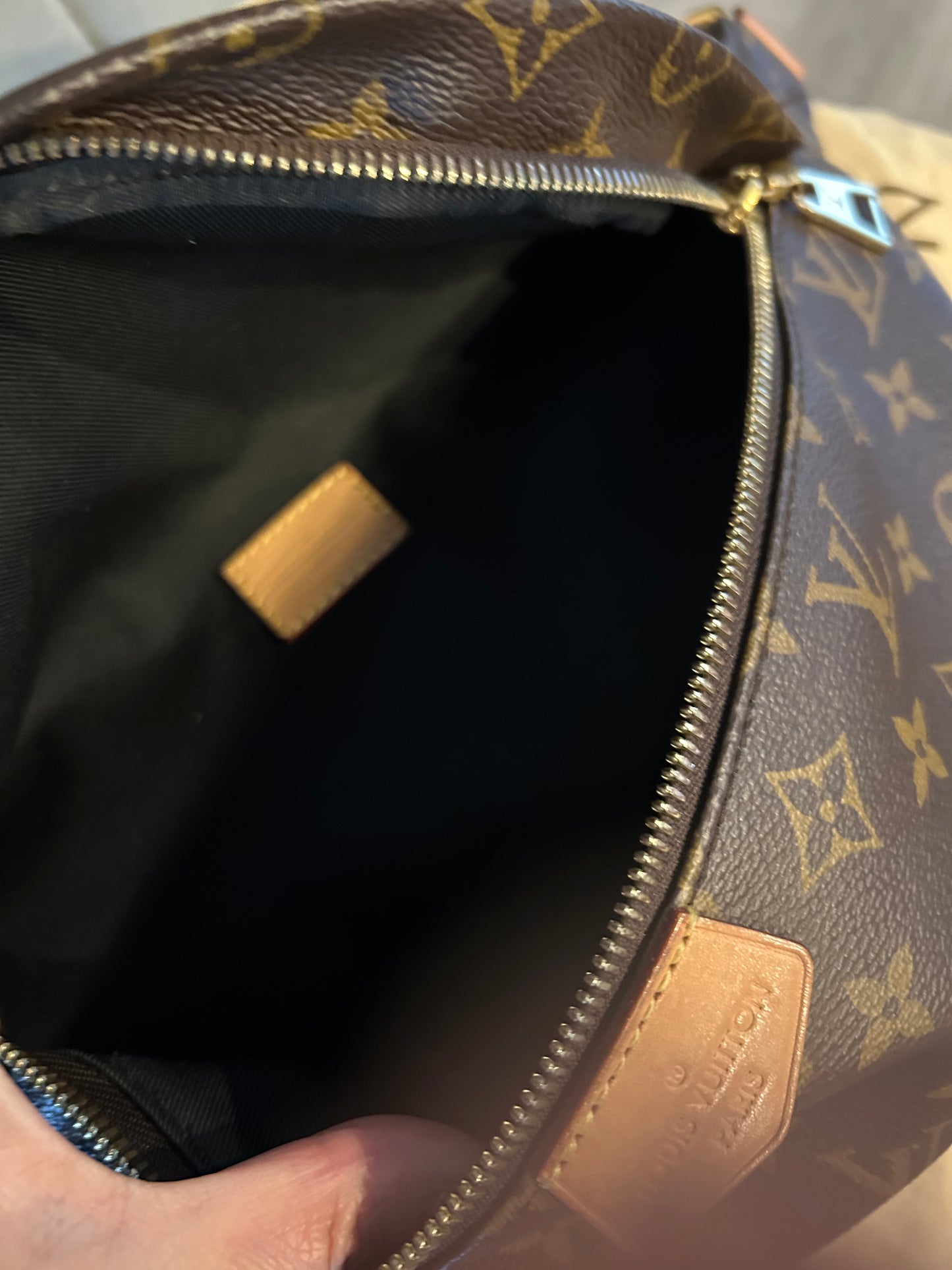 Louis Vuitton Bumbag in Monogram Canvas