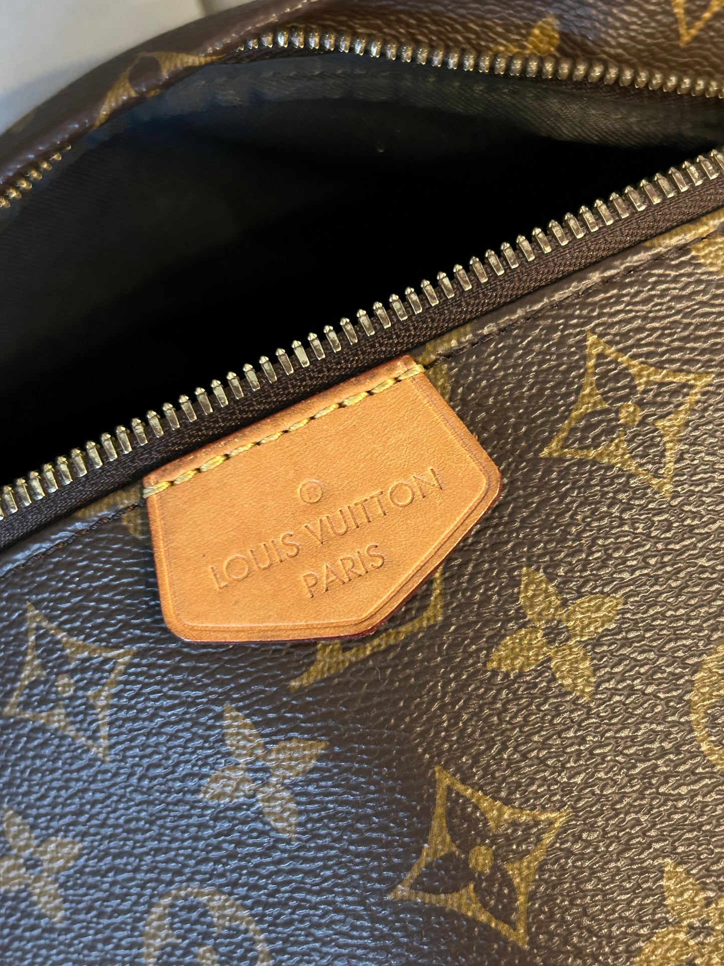Louis Vuitton Bumbag in Monogram Canvas