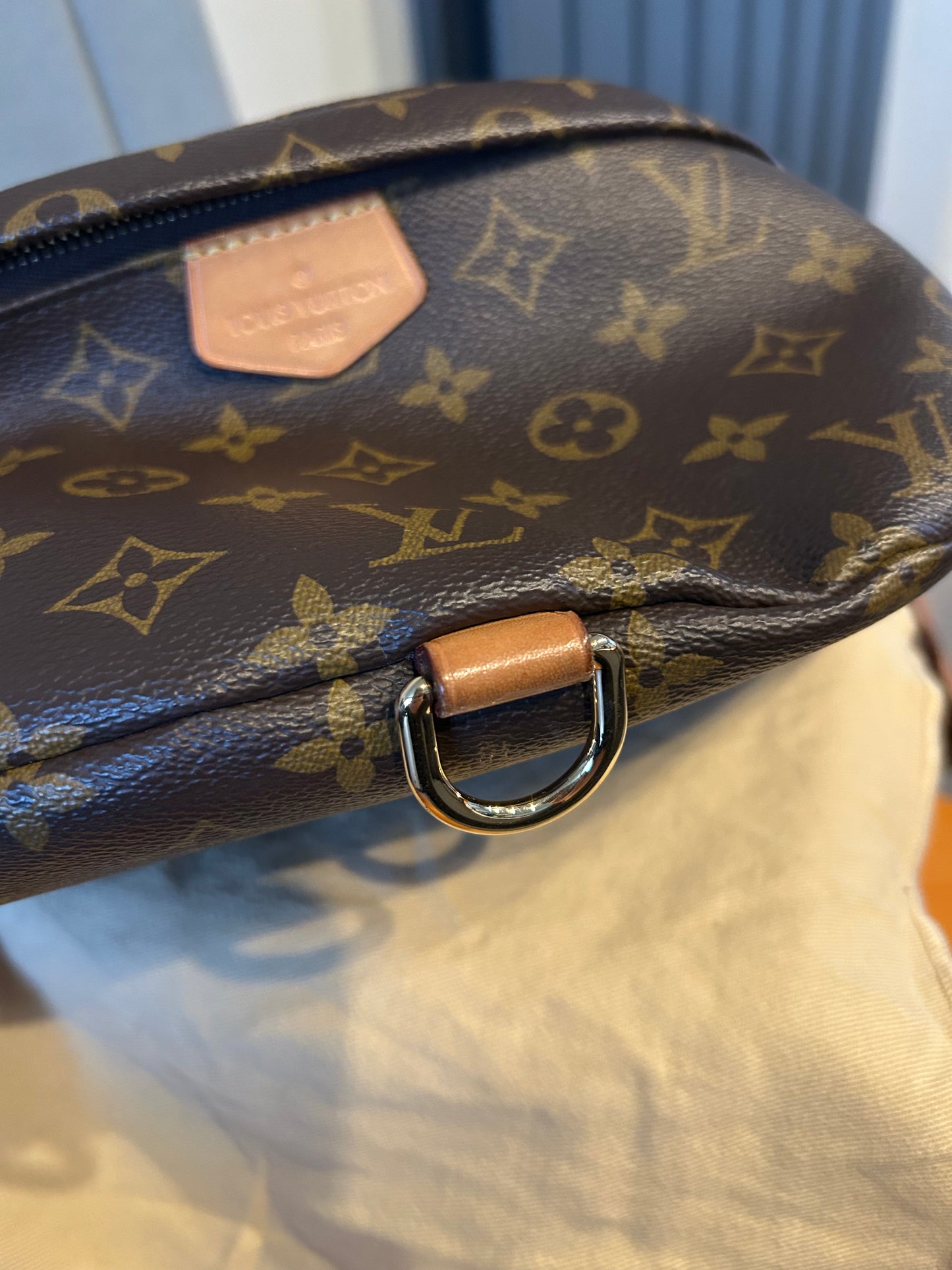 Louis Vuitton Bumbag in Monogram Canvas