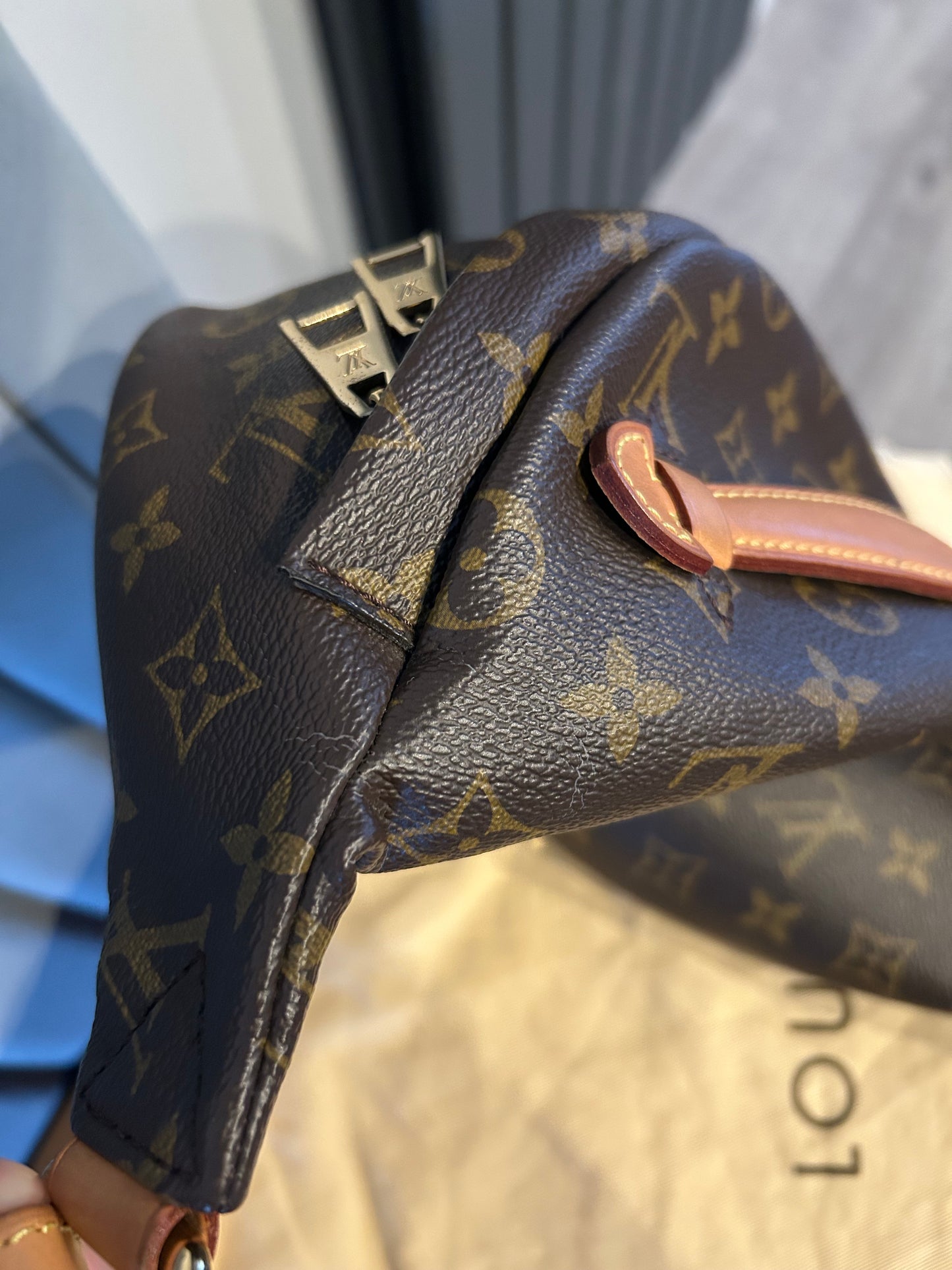 Louis Vuitton Bumbag in Monogram Canvas