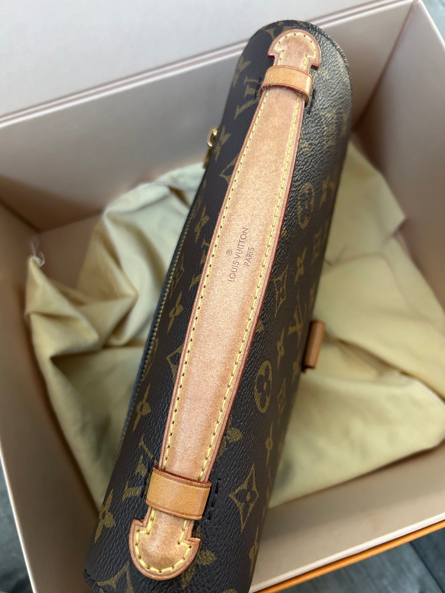 Louis Vuitton Pochette Metis Monogram
